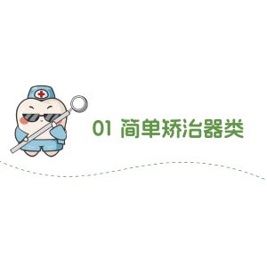 简单矫治器类